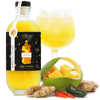 Xzens X³-TASTE (3-Pack) SUMMER LOVE | natural infused premium sirup | Bar Mix Essenz